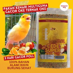 PAKAN BURUNG KENARI PENAMBAH GACOR SUPER CEDE