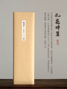 Handmade Ultra-Thin Transparent YiJiXuan Calligraphy Paper No Fuzz No Bleed for Copying Small Regular Script And Painting