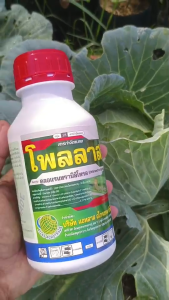 สารกำจัดหนอนตัวเด็ด! ตัวเดียวกันกับพรีวาธอน คลอแรนทรานิลิโพรล ออกฤทธิ์แรง ปลอดภัยกว่า สารกำจัดแมลงชนิดใหม่ ประสิทธิภาพสูง สารกำจัดหนอนสมัยใหม่ ออกฤทธิ์ยาว ลดการฉีดซ้ำ ของแท้ 100% ควบคุมหนอนผีเสื้อทุกชนิด ขนาด 500 ซีซี