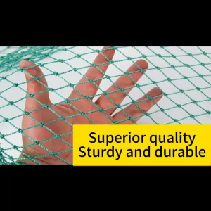 Free Rope 20M/50M/100M Chicken Net Fence Green Net Free Range Chicken Net 100 Meters for Poultry Outdoor Fishing Net