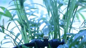 Paket Mist Nozzle 0.5 Mm Misting Sprinkler Kuningan Alat Siram Sprayer + Konektor Tee Slip Lock 1/4"