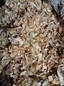 kusot for your pet bedding (bistay) 1kilo 25 pesos