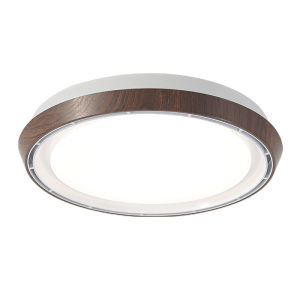 DGY | Invisible Bladeless Ceiling Fan Light