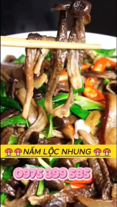 Nấm Lộc Nhung khô mới hàng đẹp trọng lượng 200gr  500gr 1kg