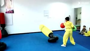 Freestanding Inflatable Punching BagInflatable Heavy Tumbler Tower Kick Boxing Target Bag for Dummy MMA Muay Thai Martial Arts Kung Fu Tai Karate Fitness Training Equipment 160cm/5.25ft