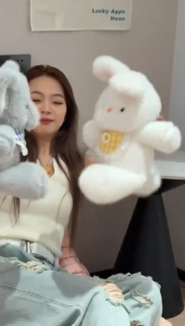 ตุ๊กตาหมีน่ารัก 35cm/45cm ตุ๊กตากระต่ายลูกแมว ลูกหมีที่วิ่งได้ เหมาะกับของขวัญวันเกิด