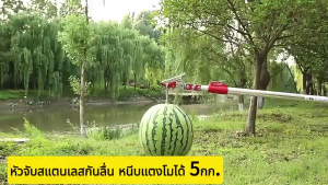 【Pocainoe】หยิบ ตัด เลื่อย3in1 กรรไกรตัดกิ่ง กรรไกรตัดผลไม้ กรรไกรตัดหนีบ กรรไกรตัดกิ่งด้ามยาว กรรไกรตัดกิ่งด้ามยาว เสายืดไสลด์โลหะผสมอลูมิเนียม 1.8-4 ม กรรไกรเก็บผลไม้ เก็บผลไม้จากที่สูง กรรไกรตัดกิ่งไม้ พร้อม ใบเลื่อย SK5 กรรไกรตัดกิ่งและผลไม้ด้ามยาว