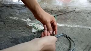 Bẫy Chuột Hình Bán Nguyệt Cực Nhạy