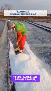 Garam Garem Ikan 500gr Kristal Grade A Premium Mencegah Penyakit Ikan Kolam Aquarium