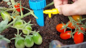 Alat Siram Tetes Tanaman Otomatis Bottle Dripper Irigasi Tetes Dengan Botol Penyiram Pot Tanaman Bunga Tetes Alat Tetesan Tanaman Drip Irrigation Spike Automatic