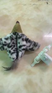 Mô Phỏng Điện Chim  Điều Khiển Từ Xa Rung Cánh Chim Sẻ Mèo Tự Sướng Buồn Chán Người Lười Hài Hước Đồ ChơI Mèo Thần Thánh