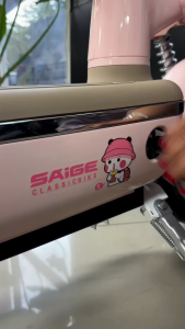 Review: Sepeda Listrik Saige Gloria Plus