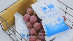 Set 10 Túi đá gel khô 100/200/400/600/1000ml không chứa nước bảo quản trái cây thực phẩm tươi bảo quản lạnh vận chuyển