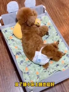 Pet Dog Bed Mat Cooling Gel Ice Mat Dog Cat Pads Quick Cooling Waterproof Pet Dog Sleeping Bed Mat