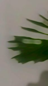 Sticker Toples Kue Lebaran Bulat 24 Pcs Label Segel Kemasan Edisi Idul Fitri 2024