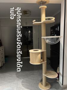 DIY ชั้นเล่นสำหรับแมวขนาดเล็ก เอวสูง ทรงกลมโปร่งใส โครงสร้างห้องน้ำ ชิ้นส่วนเปลี่ยน ทำจากไม้แท้ สำหรับแมว 2-3 ขวบ