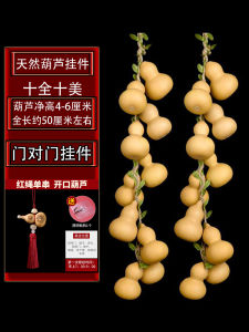 Natural Gourd Pendant Home Decor Living Room Bedroom Hanging Ornament Red Small Gourd String Handcrafted Artistic Design