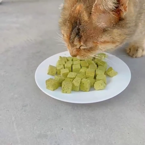Freeze-Dried & Air-dried Cat Treats || Bites Pet Snacks || Natural Treats