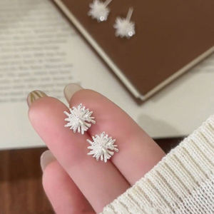 Sparkling Firework Style Luxe Zircon Earrings S999 Silver