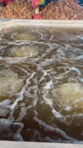 รูท โบลเวอร์ Roots Blower 2.5"