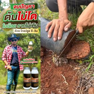 โกรว์รูธ จี-วัน น้ำยาเร่งรากต้นทุเรียน แบบผงไม่ต้องผสมเยอะใช้คุ้ม สารสกัดสูตรเข้มข้น  Growroot G1 เร่งใบ กระตุ้นการแตกใบอ่อน แช่เมล็ดเร่งรากได้ดี