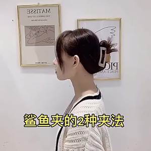 ZEO Hair Clip Gentle Gripper Clip Fashion Cross Hair Clips Elegant Hair Accessories Korean Frosted Style Black White