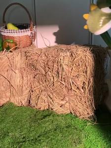 Xixitiao 2024 mùa thu và mùa đông mới bé khủng long hoạt hình dễ thương Giày cotton trẻ em với dép cotton ấm áp sang trọng cho bé trai và bé gái