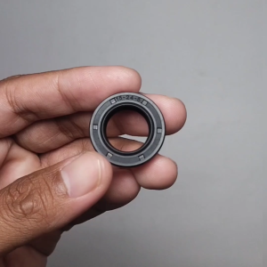 Seal Sc 15 24 5 Nok Seal Jet Cleaner Blue Clean610 Original NOK INB SEMARANG