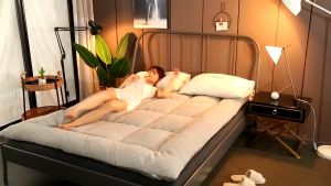[Double-sided Use] Thicker Mattress Tatami Topper Foldable Soft Feather Velvet Tilam Murah Bedding Mattress Four Seasons
