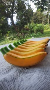 Replika Buah Pisang (1pcs) / Buah Pisang / Edukasi Anak / Hiasan Meja / Mainan Anak / Buah Mainan