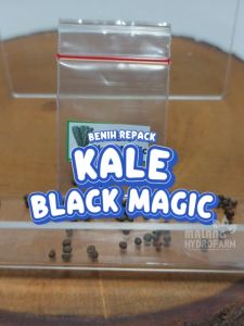 Benih Kale Black Magic Unggulan Berkualitas biji bibit repack lacinato dinosaur kel kubis keriting hydroponik hidroponik sayur sayuran tanaman pot