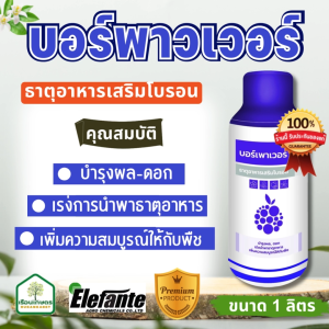 บอร์พาวเวอร์ ธาตุอาหารเสริมโบรอน บำรุงผล-ดอก เพิ่มความสมบูรณ์ให้กับพืช ขนาด 1 ลิตร