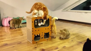 Cat Scratcher Cat Furniture Cat Kitten Scratching Board Toy Scratch Pad Corrugated Paper Board