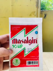 Fungisida MASALGIN 50 WP Dewi Kayangan MANTAB