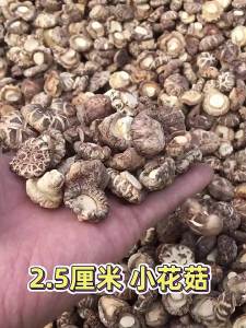 Commercial Dry Flower Mushrooms 500g Thick Meaty Farmhouse Dried Mushrooms Bulk Packaged Flavorful White Flower Mushrooms