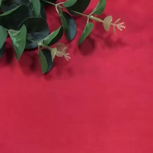 Waterproof Outdoor Fabric By The Meter for Tent Awning Raincoat Diy Sunscreen Sewing PVC Polyester Cloth Ripstop White Red Blue