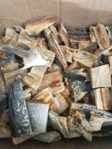 Ikan Asin Super Murah Ikan Asin Gabus Potong 1000 gram