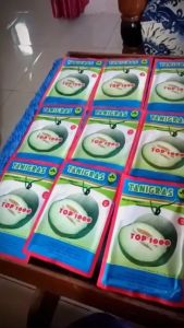 Benih Melon TOP 1000 F1 & Benih Melon Tahan Virus