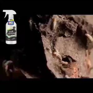 🐜99.99% Effective🐜 KM termites killer spray termites killer spray japan anay killer spray 500ML suitable for pregnant and infants safe and secure termite extermination spray termites pesticide for wood insects killer spray 1257 Ratings