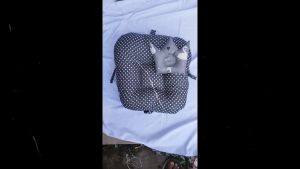 Sofa Bayi Kasur Bayi Dilengkapi Sabuk Pengaman Empuk Isi Silikon Grade A Bonus Bantal Peyang Mahkota