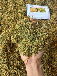 1kg hoa đu đủ đực sấy khô hàng loại 1
