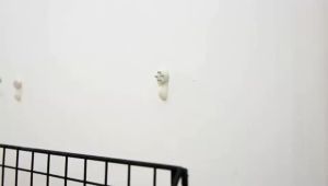 Grid Wall Shelf Mounted Hanging Shelf Home Room Decor Wall Storage Holder Bedroom Wall Art Shelve Storage Holder Rack