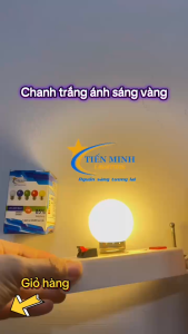 Combo 2 bóng led chanh cao cấp nhiều màu dùng để bàn thờ ông địa thần tài trang trí chống nước