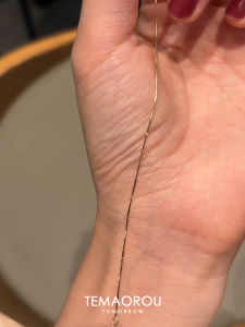 Titanium Steel Snake Bone Gold Color Womens Bracelet Luxury Minimalist High-End Fashion Jewelry Non-Fading Elegant Design