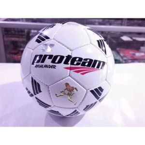BOLA SEPAK PROTEAM