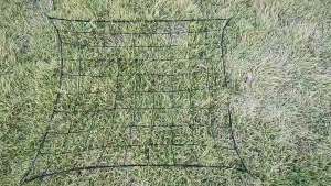 Flexible Plant Trellis Net for Grow Tent Elastic Grid Support Net for Climbing Vine Fruits Hydroponic Indoor Plant Growth Fixin
