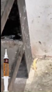 ✅ฆ่าต่อเนื่อง ตายยกรัง ✅ยาฆ่าจิ้งจก ยาฆ่าตุ๊กแก ยาไล่จิ้งจก ไล่จิ้งจก 10g ดึงดูดรวดเร็ว ฆ่าจิ้งจกมีประสิทธิภาพ หนึ่งตัวกินเหยื่อเจล ตายยกรังในที่สุด เหมาะสำหรับครอบครัว กำจัดจิ้งจก ยาไล่จิ้งจก ไล่ตุ๊กแกถาวร ยากำจัดตุ๊กแก ยาฆ่าจิ้กจก ไล่จิ้งจกถาวร