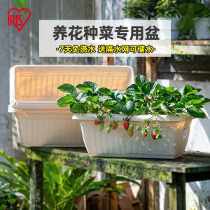 Alice Long Rectangle Resin Plant Pots for Vegetables Herbs Strawberries Succulent Flowers Balcony Garden Planters Water Drainage