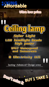 BUY 1 TAKE 1 Solar Ceiling lights with solar panel Light LED Solar Ceiling Light Waterproof With Remote