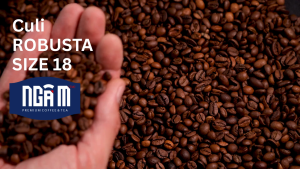 Cà Phê Culi Robusta 500g  – Size 18  – Rang Mộc Xay Sẵn – Đậm Vị Cà Phê Việt Hương Thơm Tự Nhiên